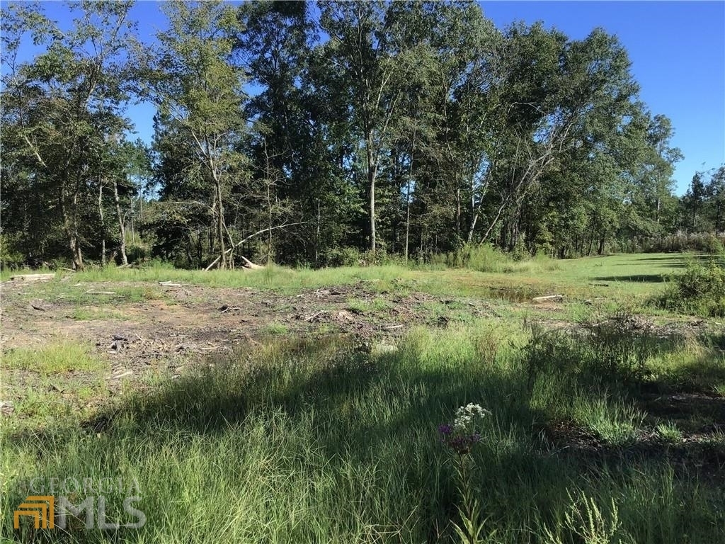 Property Photo: 0 Reece Vann Road GA 30161