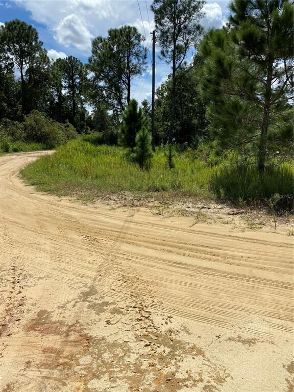 Property Photo:  0 Amy Carter Court  FL 33898 