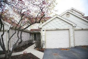 Property Photo:  317 Grissom Court 0  IL 60169 