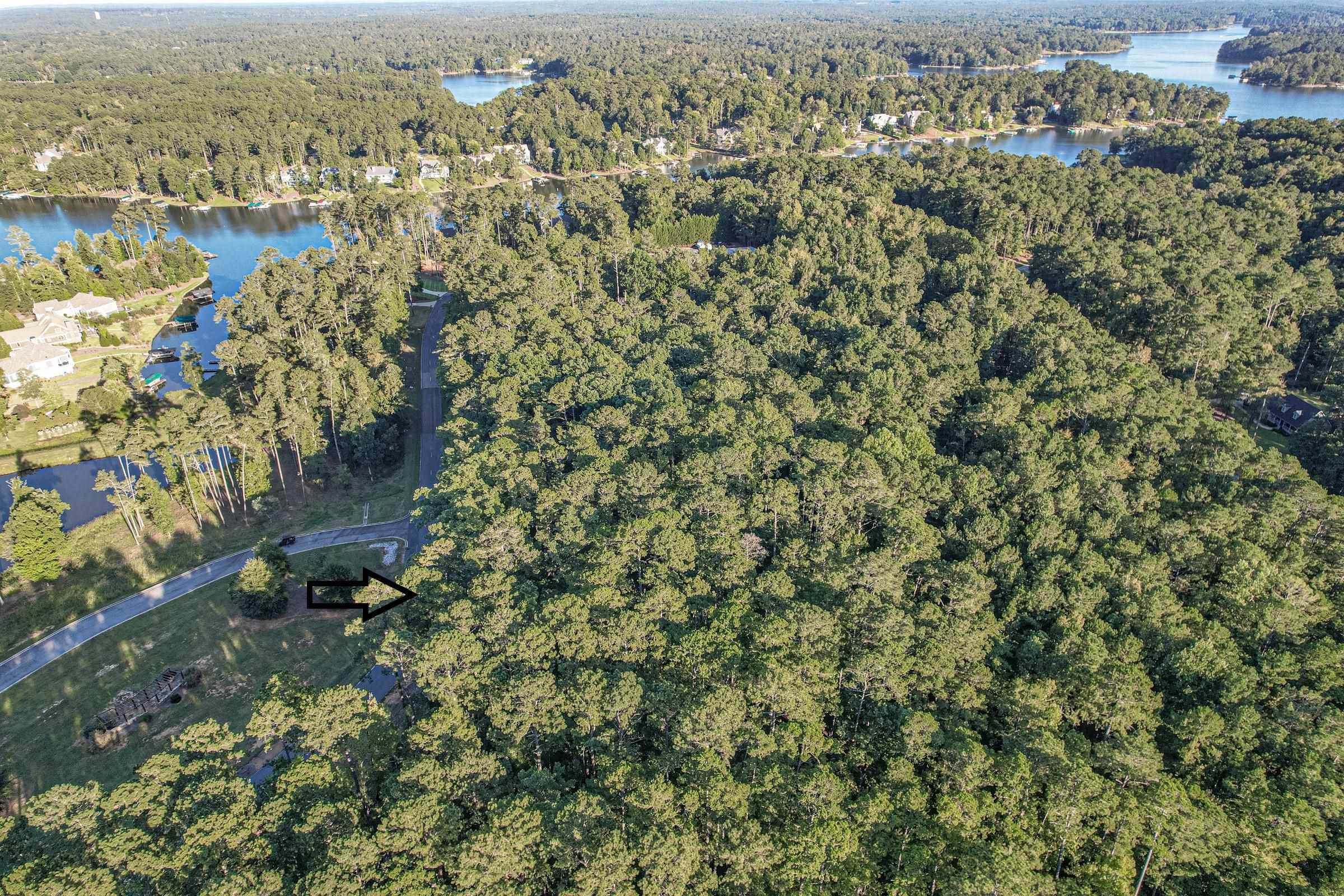 Property Photo: 2201 Osprey Poynte GA 30642