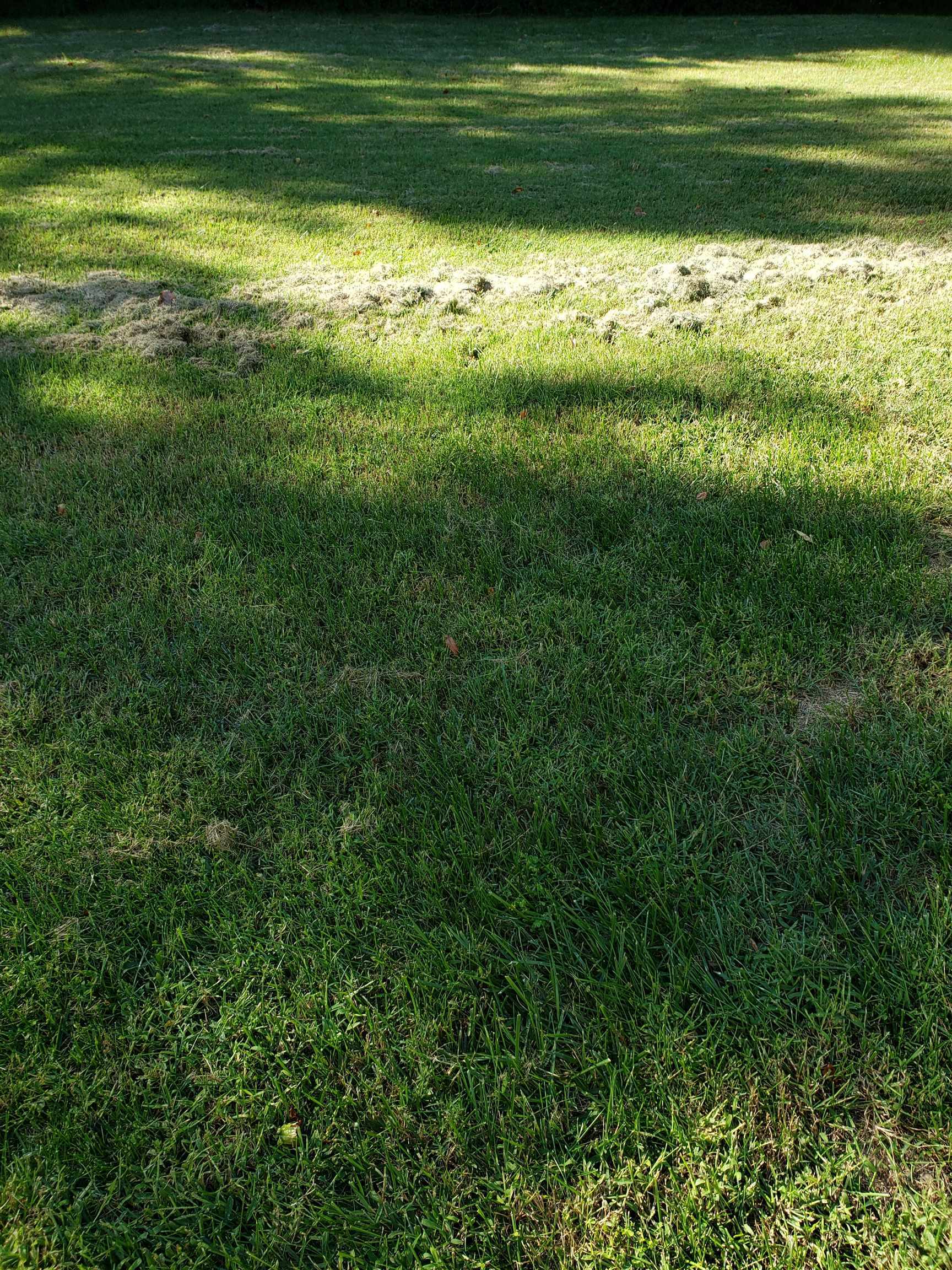 Property Photo: 695 Townbank NJ 08204