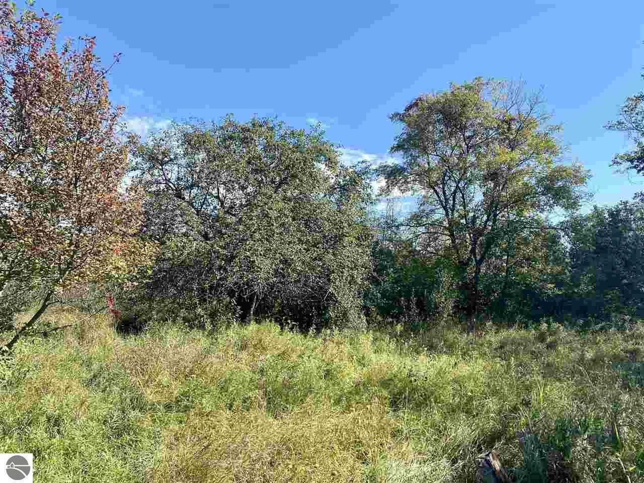 Property Photo:  000 Van Brocklin Street  MI 49628 