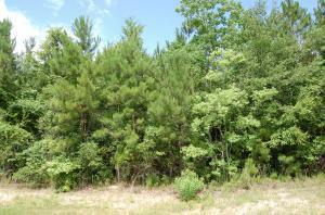 Property Photo:  Yankee Ridge Rd  LA 70634 