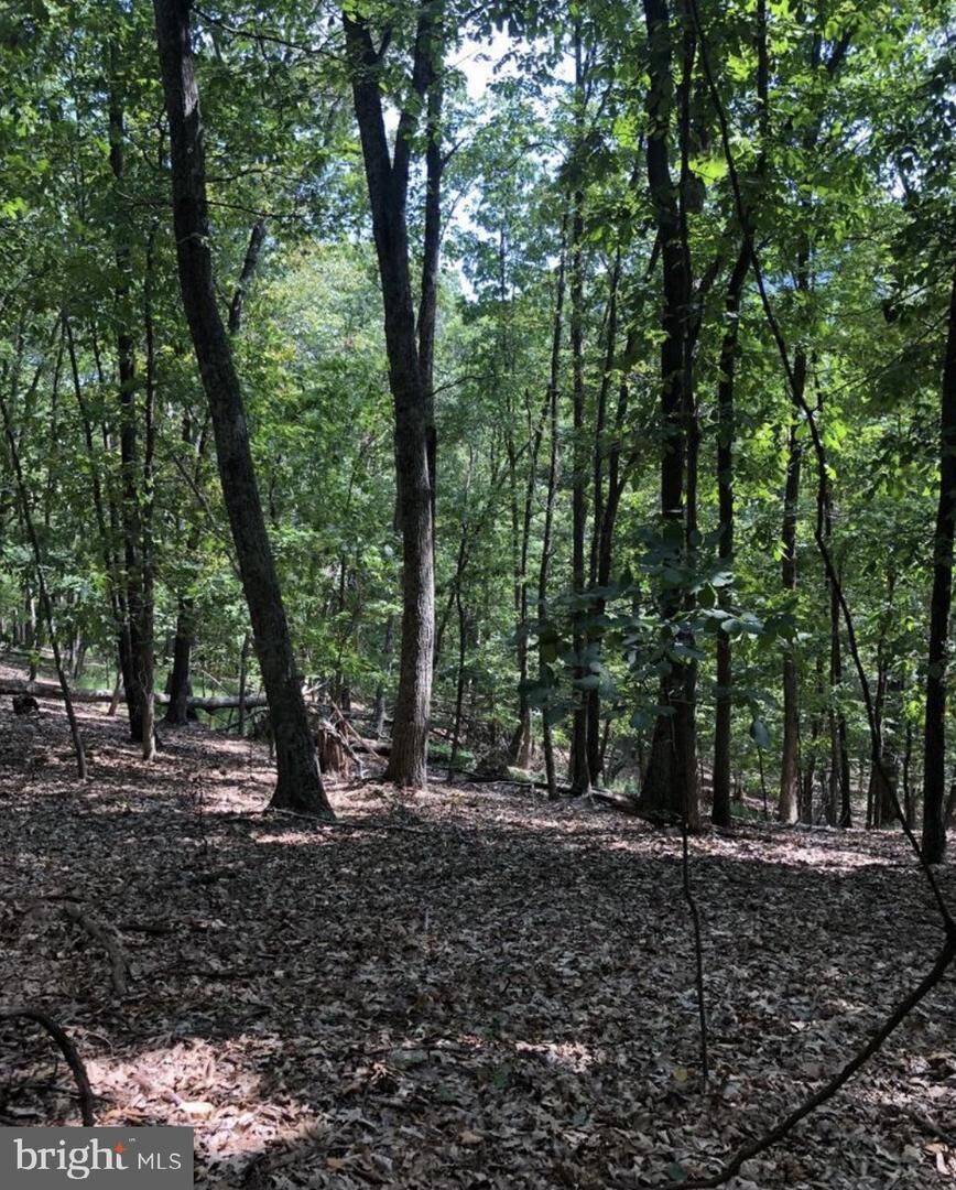 Property Photo: Lot #20 Otter Creek Dr WV 25420