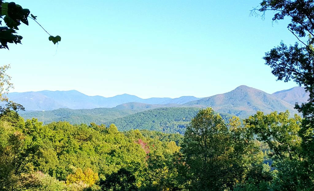 Property Photo: 1103 Longview Court TN 37738