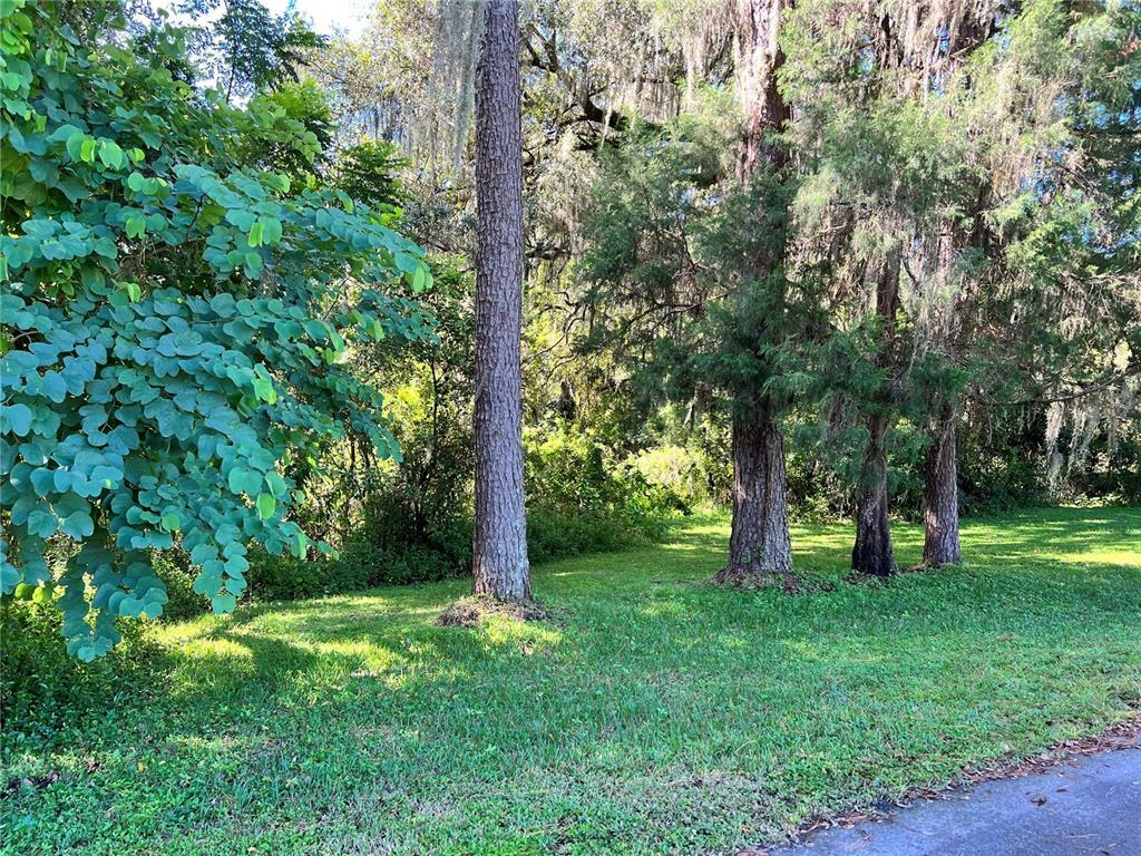 Property Photo:  Jesse Jones Avenue  FL 33576 