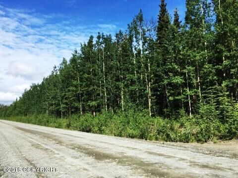Property Photo: 33700 Browns Lake Road AK 99669