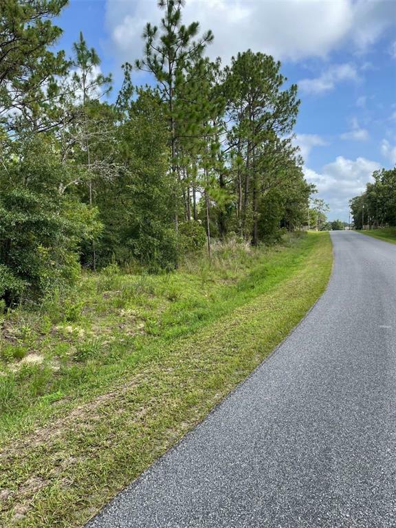 Property Photo: SW 115th Terrace FL 34481