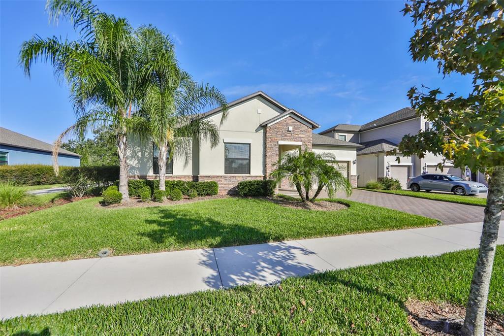 Property Photo:  12805 Satin Lily Drive  FL 33579 