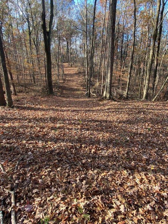 0 Canopy Way  Rocky Face GA 30740 photo