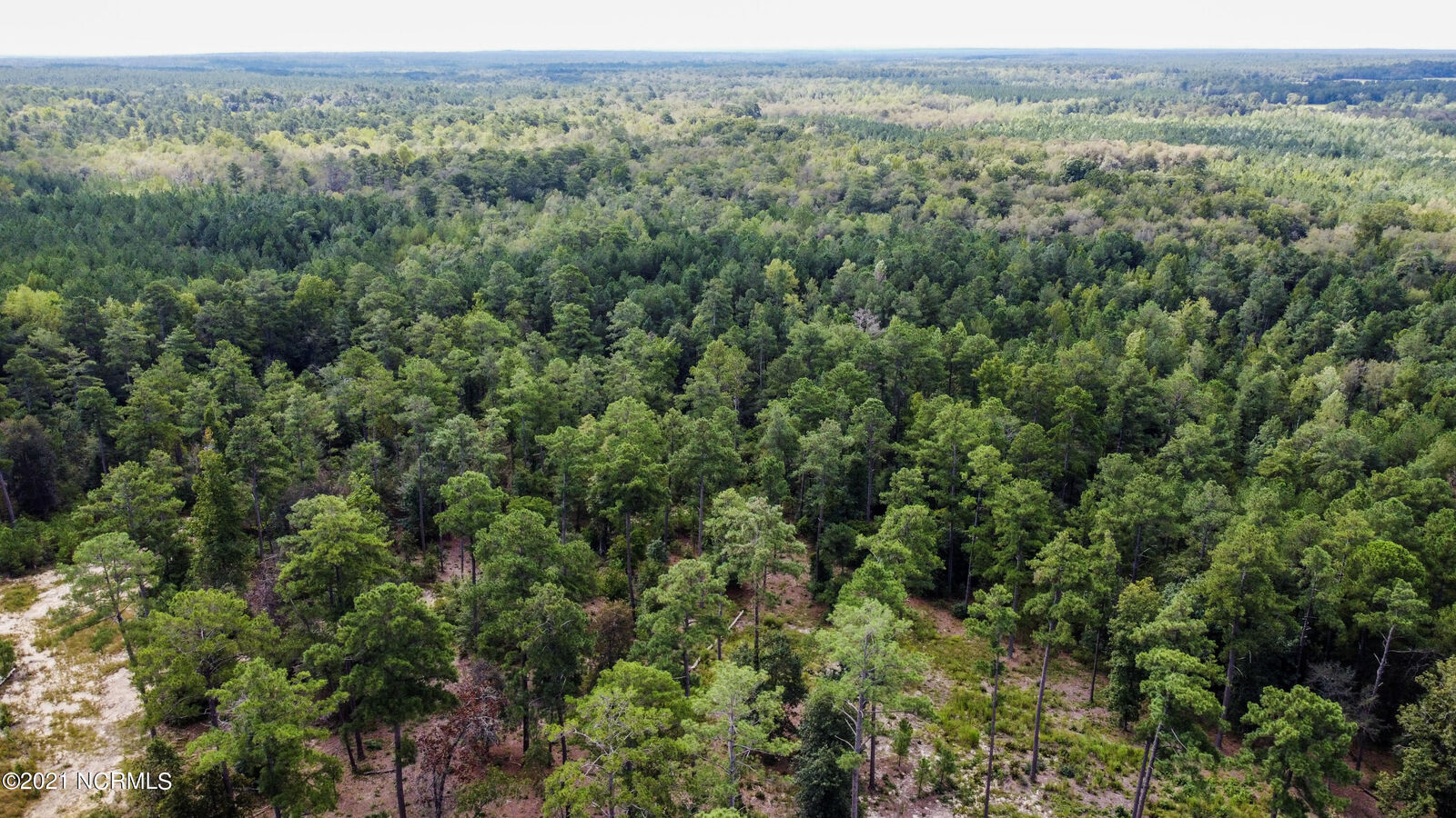 Property Photo:  491 Grande Pines Vista  NC 27281 