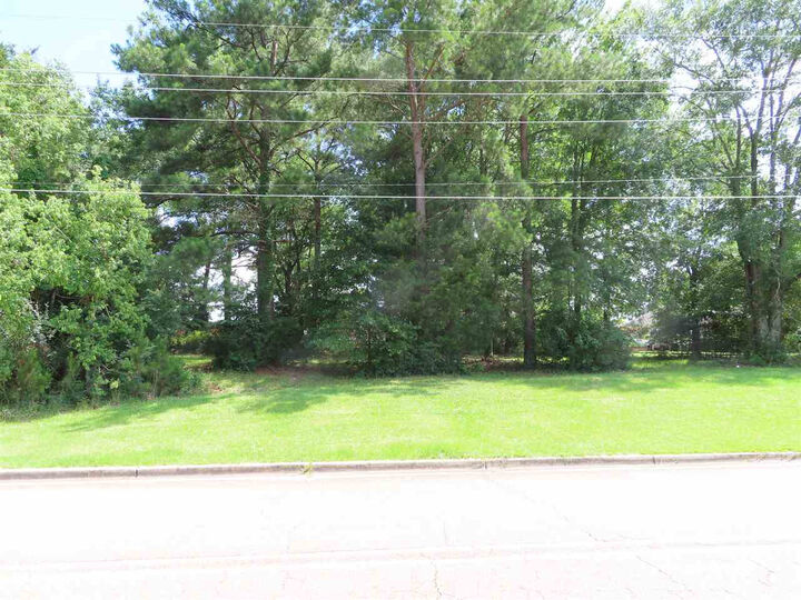 105 Woodchase Park Drive  Clinton MS 39056 photo