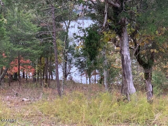Property Photo: E Shore Lot 107 Drive TN 37854