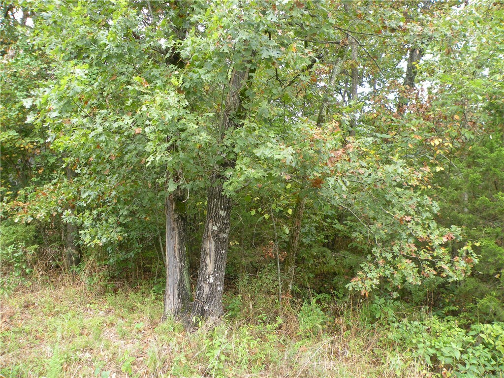 Property Photo:  3 Hillside Drive  AR 72631 