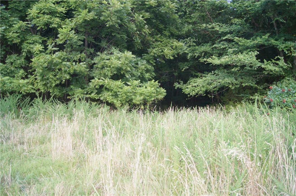 Property Photo:  0 Frederickson Road  AR 72764 