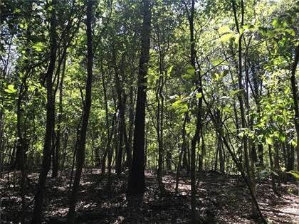 Property Photo:  Noah  AR 72736 