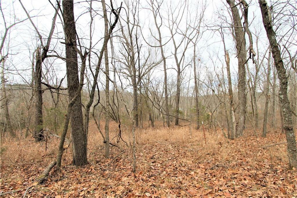 Property Photo:  Hickory Springs Road  AR 72738 