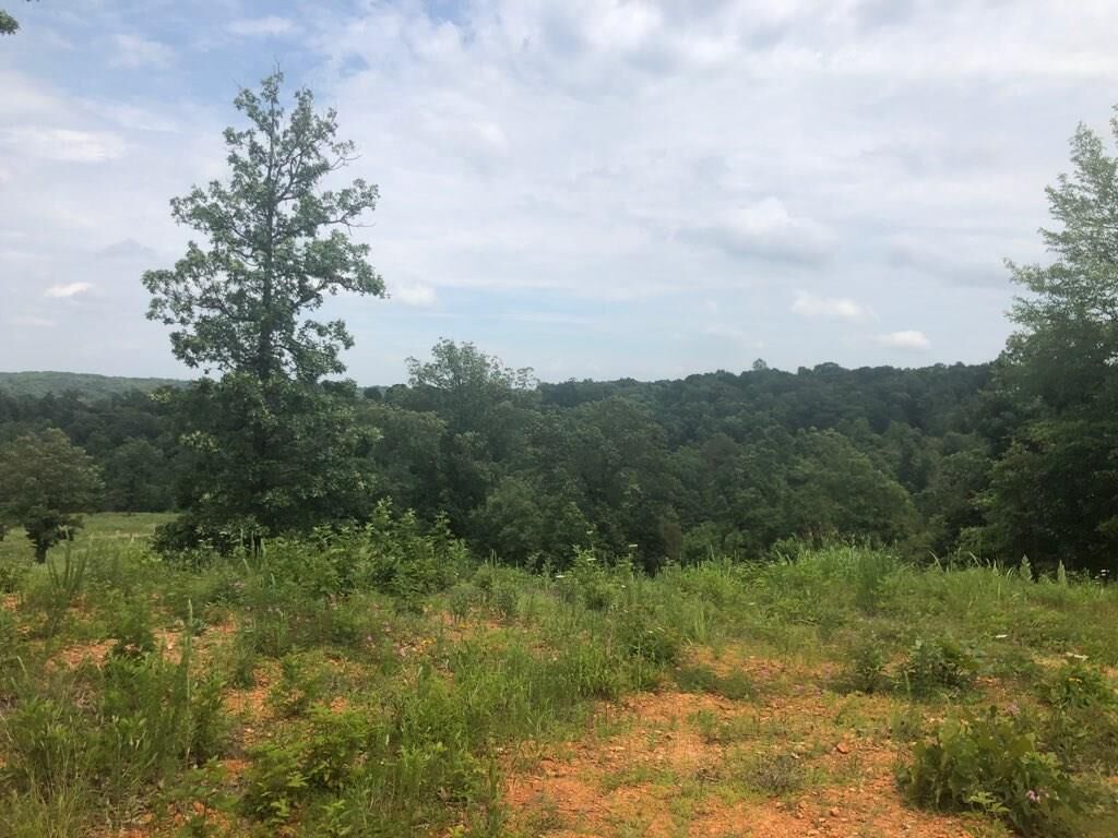 Property Photo:  Lot 8 Lynchburg Road  AR 72736 