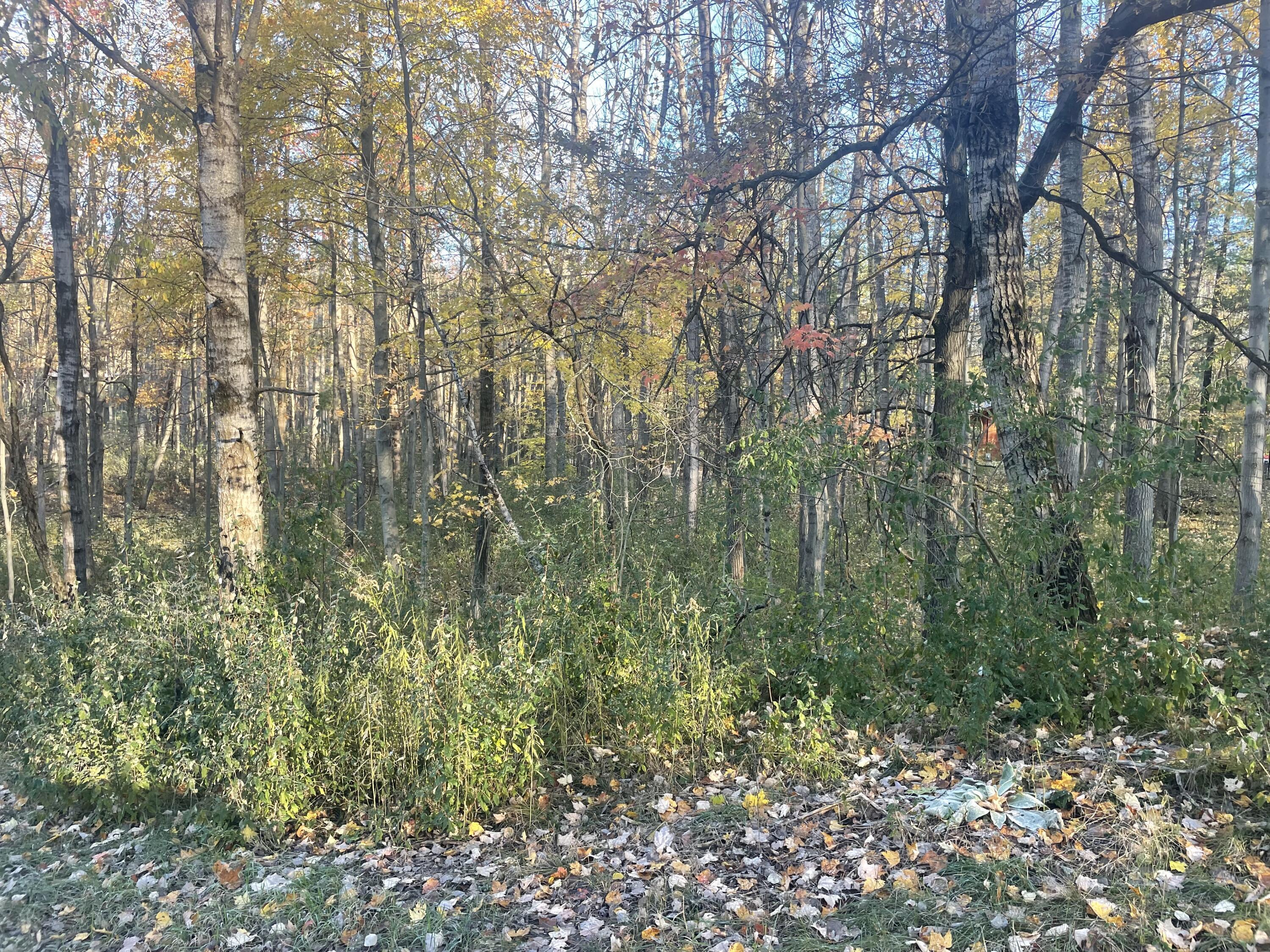 Property Photo:  12130 Hudson Bay Drive  MI 49346 