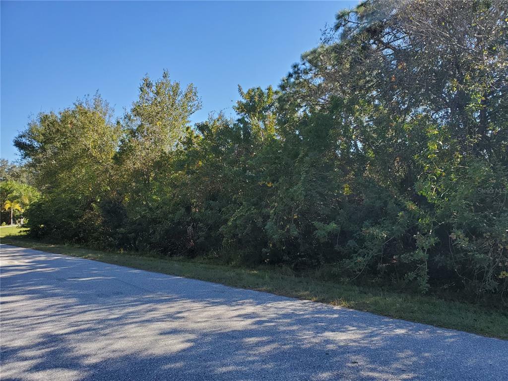 Property Photo:  12801 Xavier Avenue  FL 33981 