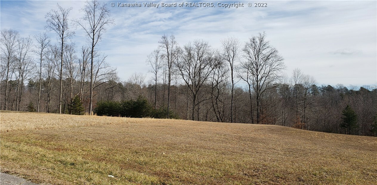 Property Photo:  12 Bridle Point  WV 25541 