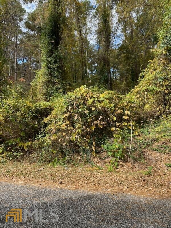 Property Photo:  2554 Winding Lake Trail NE  GA 30012 