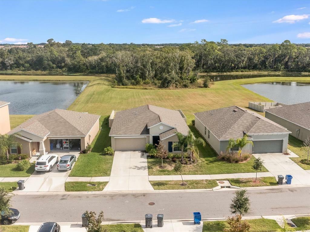 Property Photo:  17134 White Mangrove Drive  FL 33598 