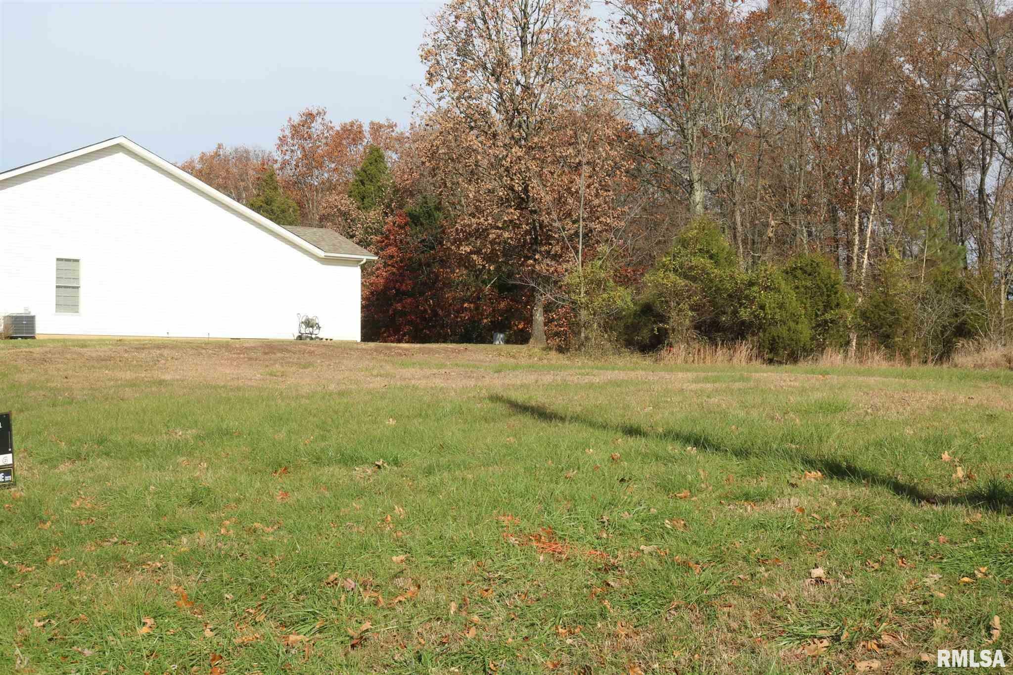 Property Photo: Lot 31 Luxor Landing Lane IL 62939