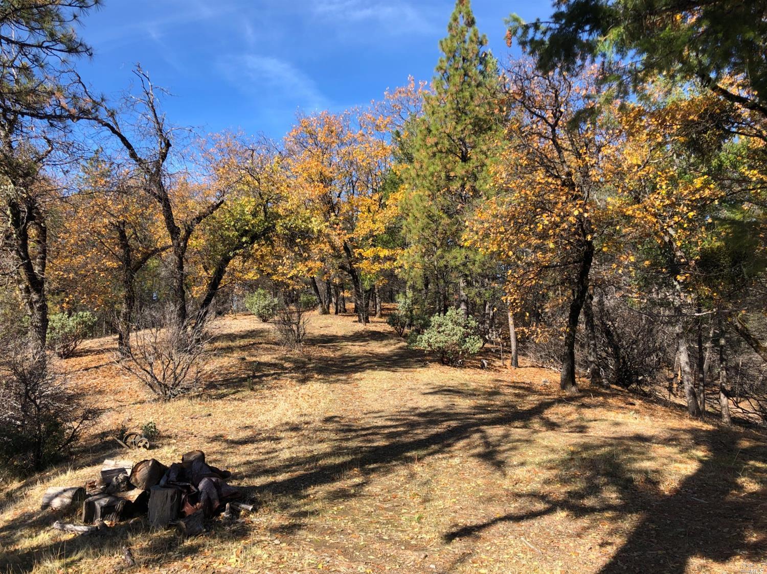 Property Photo: 18824 16 N 19 Road CA 95485
