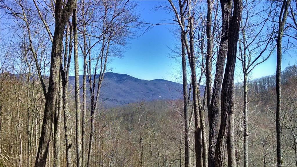 Lot 37 High Line Road  Sylva NC 28779 photo