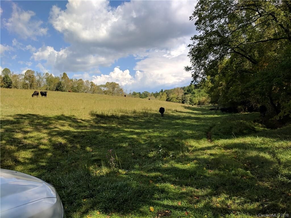 Property Photo:  Tract 3 Merrill Farm Road  NC 28748 