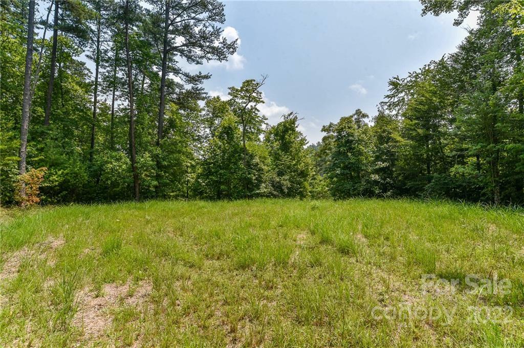 Lot 4 The Vines Boulevard Lot 4  Marshall NC 28753 photo