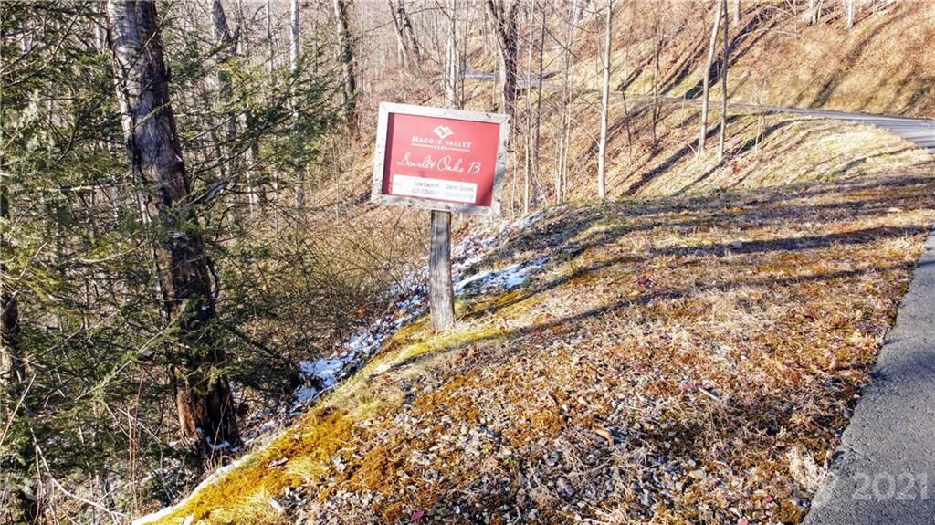 Property Photo:  13 Ironwood Lane  NC 28751 