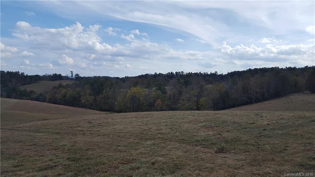 Property Photo:  Tract 2 Merrill Farm Road  NC 28748 