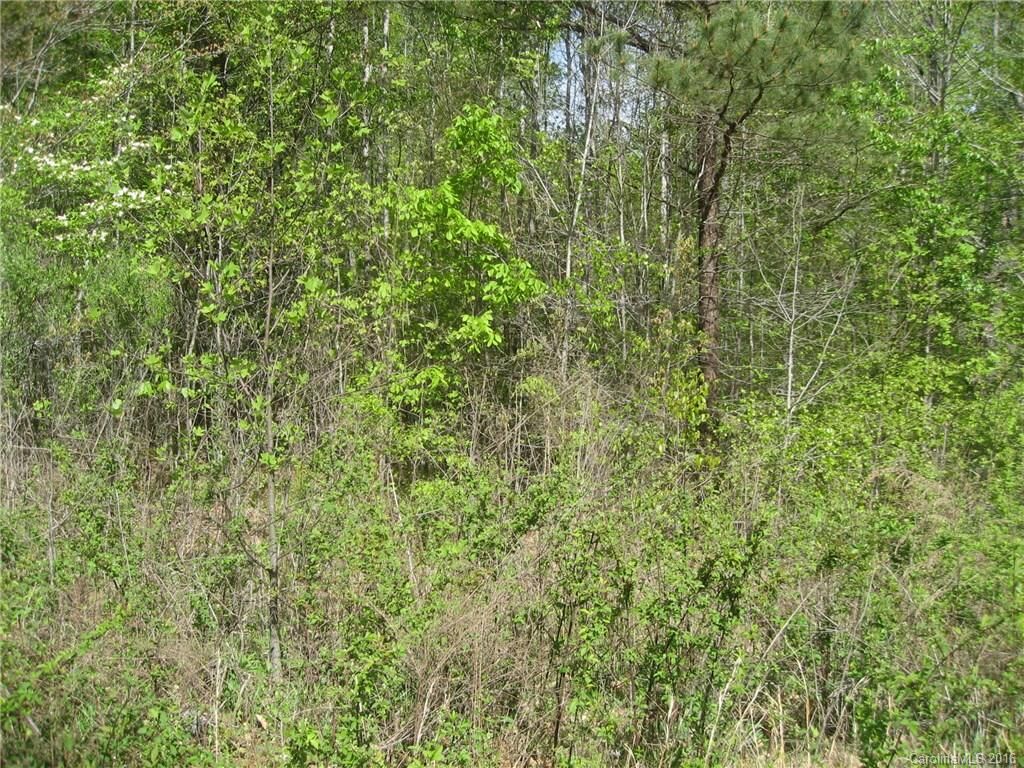 Property Photo: Lot 13 Short Cedar Trail 13 NC 28006