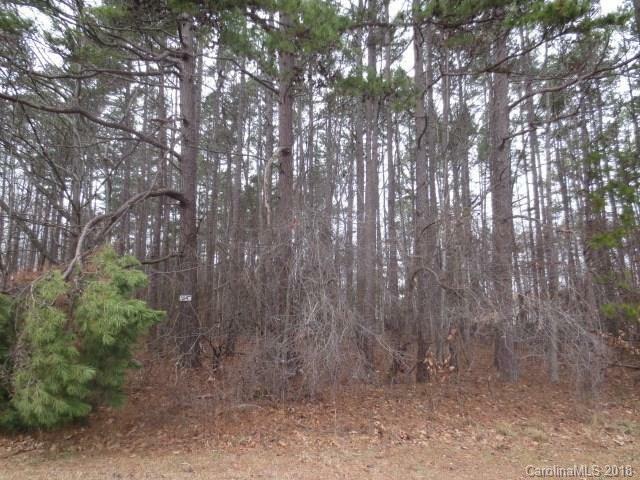 Property Photo:  317 Wildwood Road Lot 14  NC 28110 