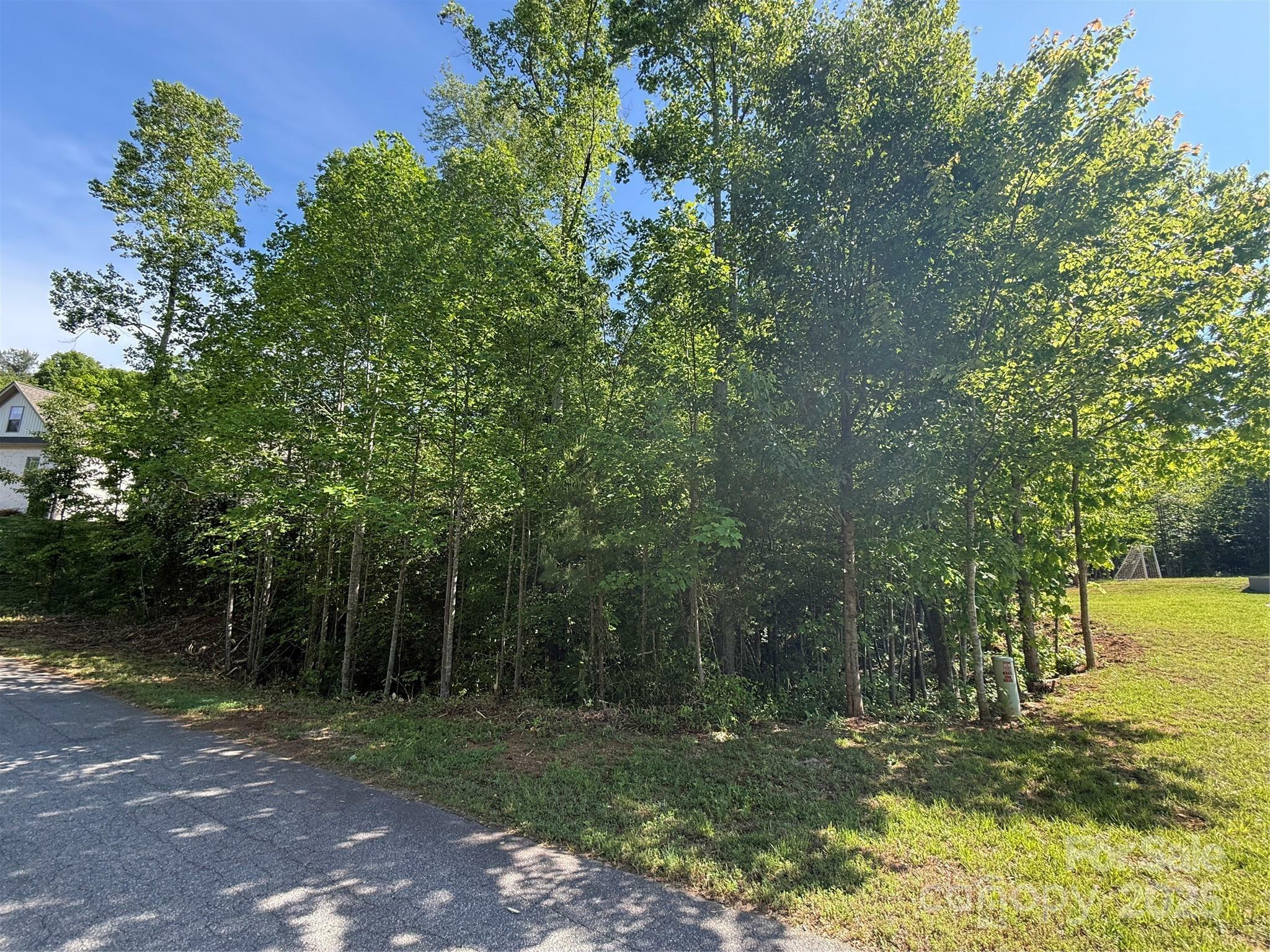 Property Photo:  Lot 274 Whitman Court 274  NC 28681 