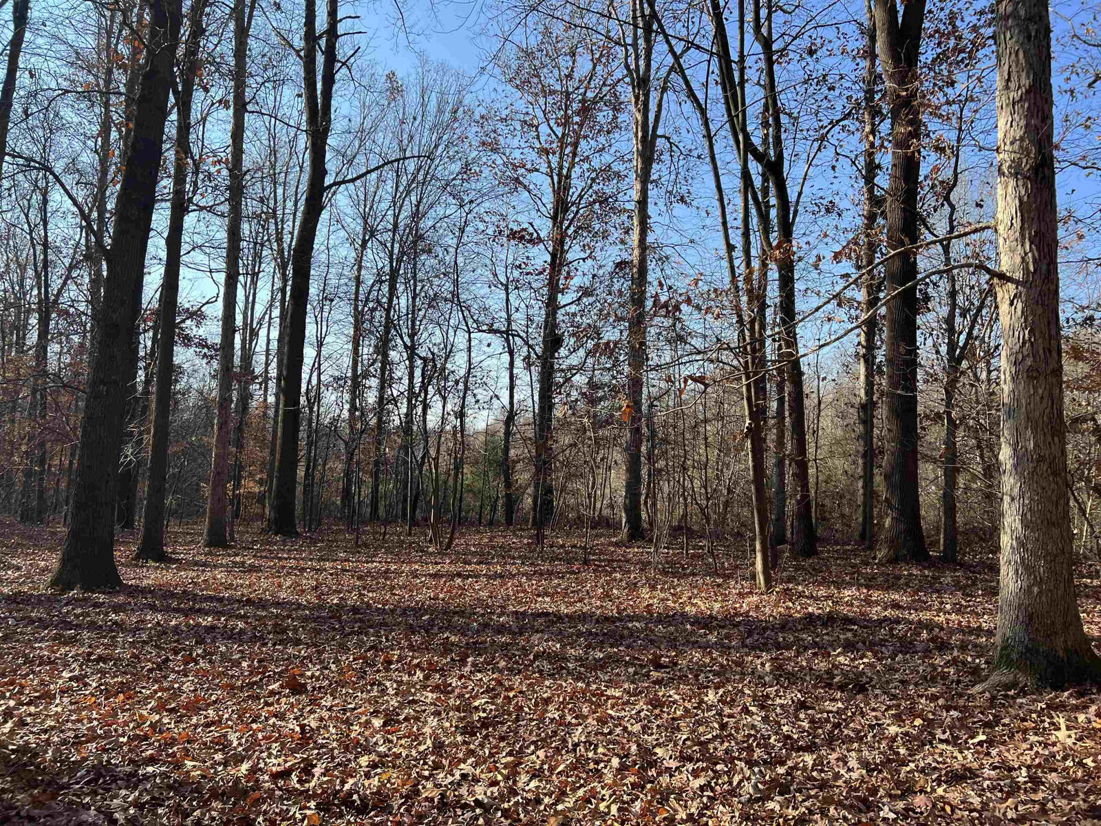 Property Photo: 5942 Bonlee Bennett Road NC 27202