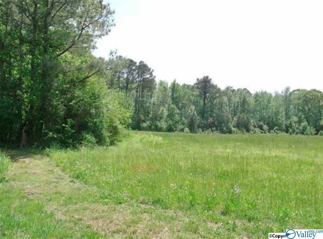 Property Photo:  Tbd Fry Gap Road  AL 35016 