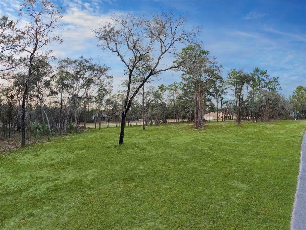 Property Photo:  15485 Mount Sparrow Road  FL 34614 