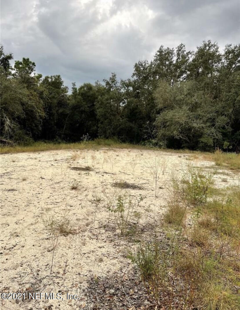 Property Photo:  34026 Eiler Boulevard  FL 33597 