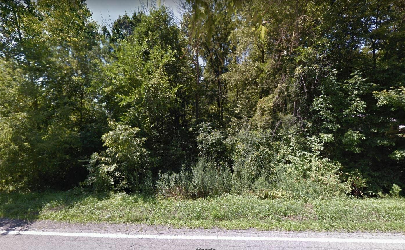 Property Photo:  Vl N Neff Road  MI 48420 