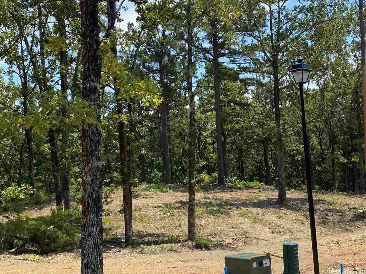 Property Photo:  Lot 21 Orchard Hills  AR 72034 