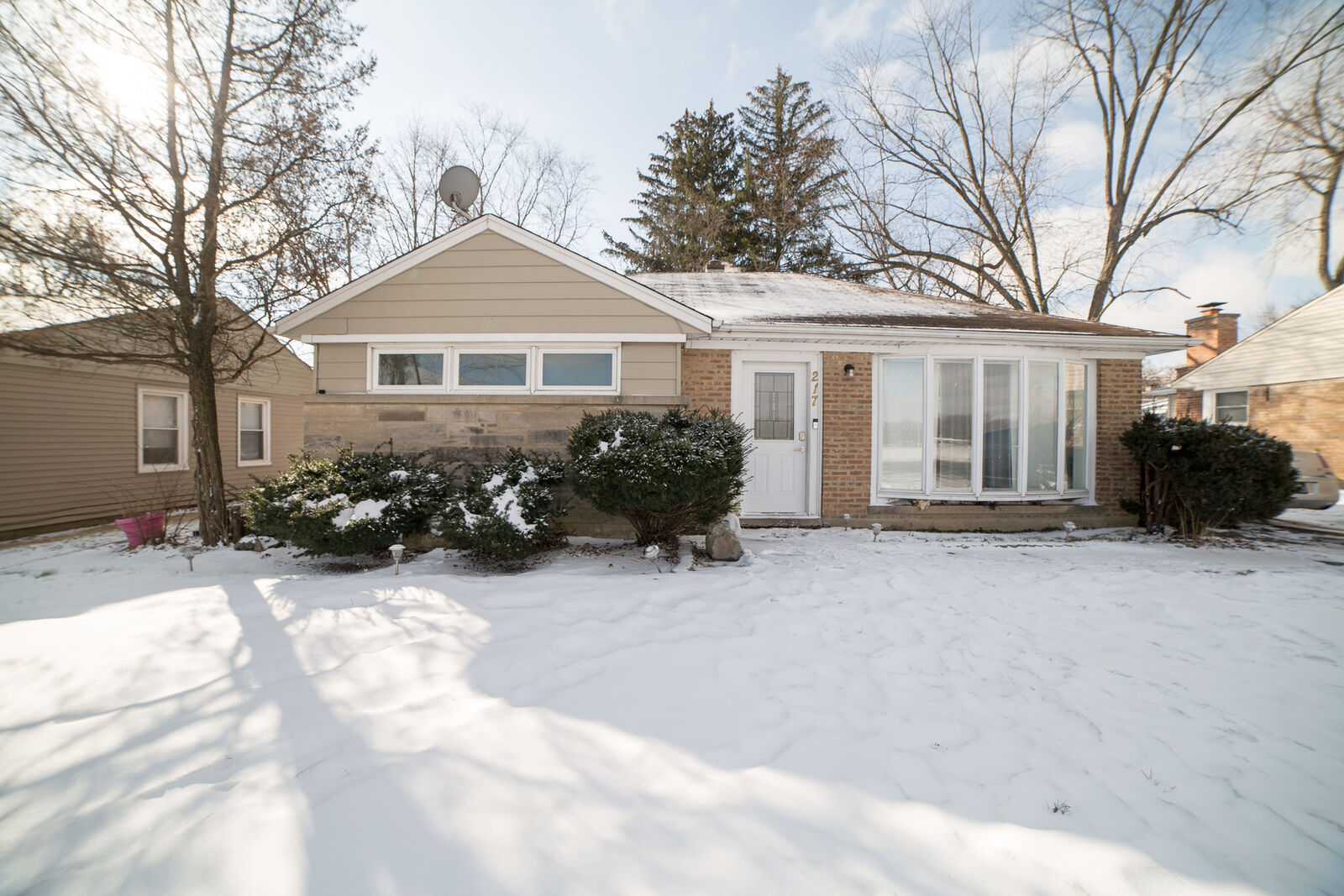 Property Photo:  217 Sauk Trail  IL 60466 