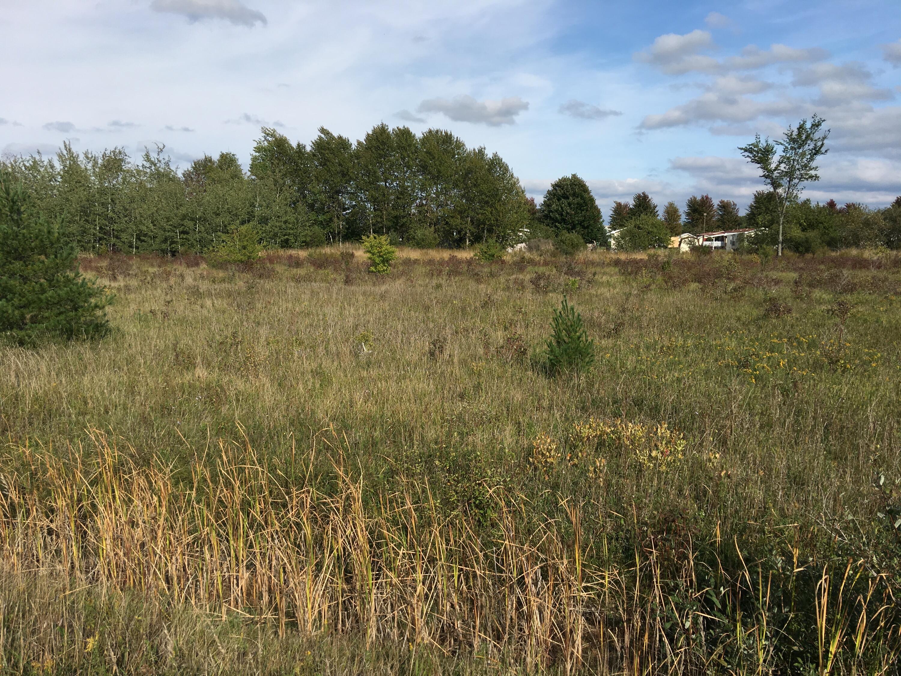 Property Photo: Townline Road MI 49721