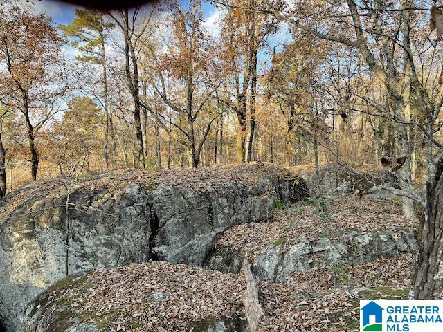 Property Photo: 001 Chandler Mountain Road Acreage AL 35987
