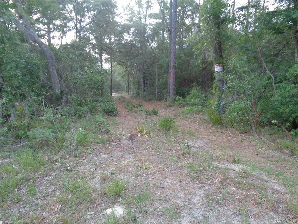 Property Photo:  775 W Kuhns Lane  FL 34461 