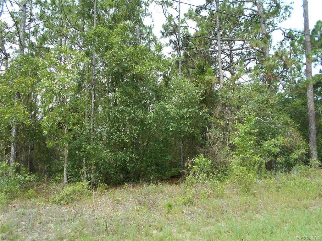 Property Photo:  3480 W Cushion Drive  FL 34433 