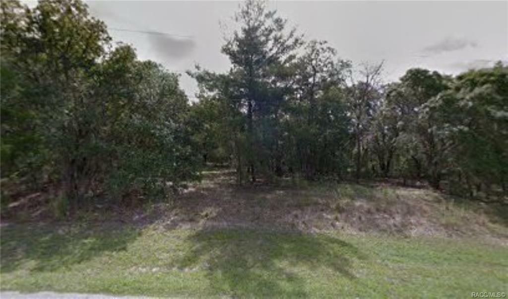 Property Photo:  75 N Highview Avenue  FL 34442 