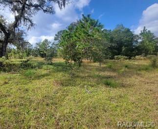 Property Photo:  6741 W Linden Drive  FL 34446 